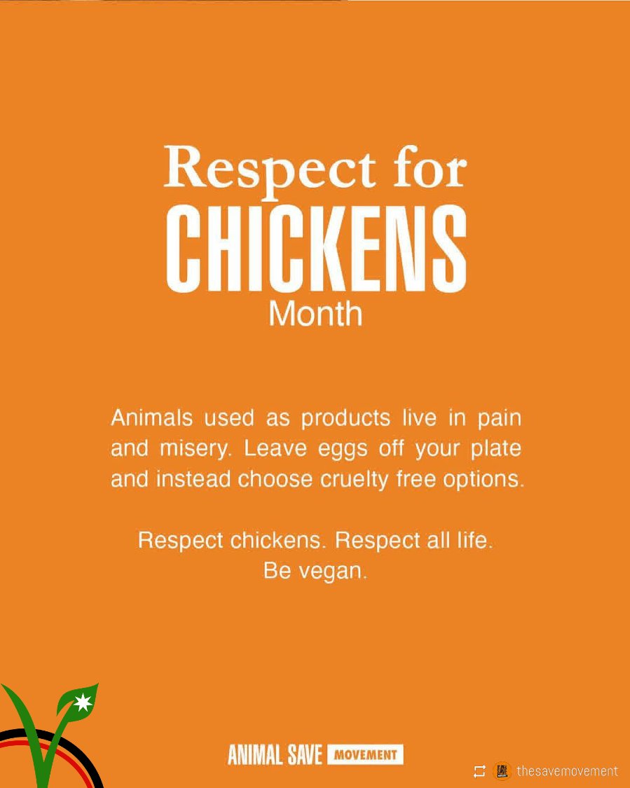 JordanianVegans's tweet photo. @animalsavemvmt #RespectForChickens https://t.co/gjYpkvmZnR