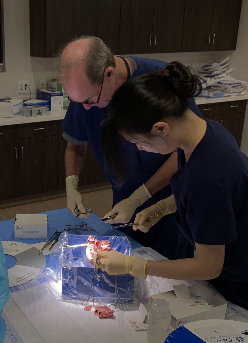 Zuyue Wang (@zuyuewangmd) on Twitter photo Learning from the master Dr Will Ryan - aortic annular enlargement. @alicechangsch <a href="/HeartPlano/">BSW Heart Hospital Plano Cardiology Fellowship</a> #wetlab #dallasaorticrootsymposium #CardioTwitter #ase360 Learning from the master Dr Will Ryan - aortic annular enlargement. @alicechangsch <a href="/HeartPlano/">BSW Heart Hospital Plano Cardiology Fellowship</a> #wetlab #dallasaorticrootsymposium #CardioTwitter #ase360