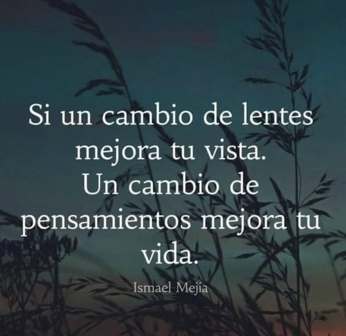 Dr_Blazquez tweet picture