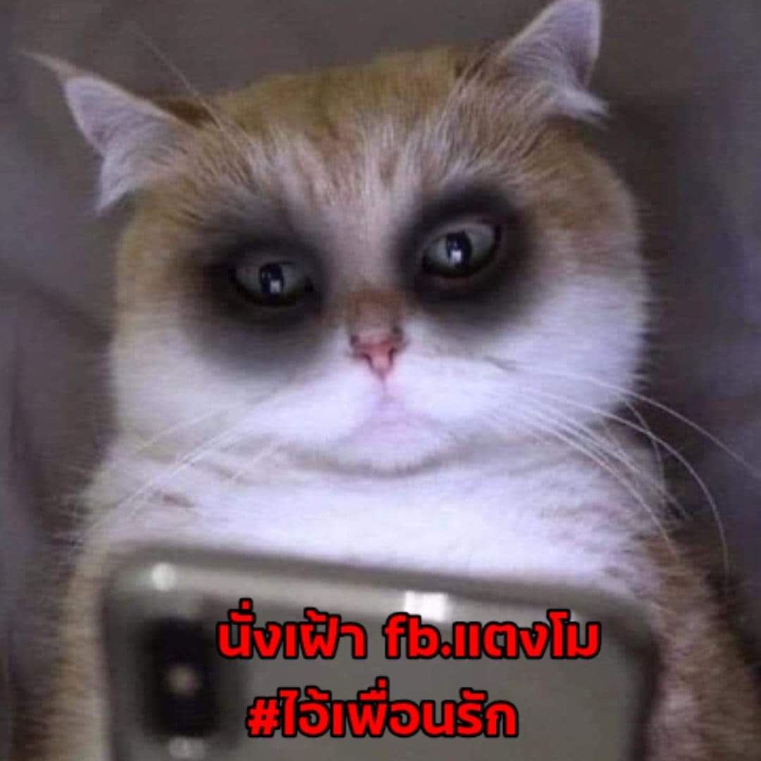 #แตงโมต้องได้รับความยุติธรรม