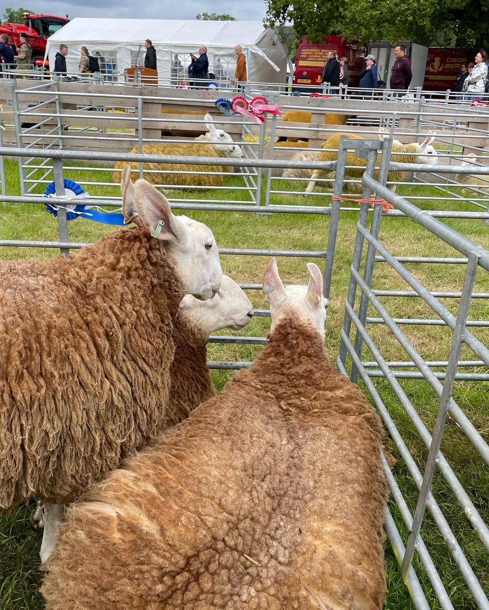 KlaireConnor's tweet photo. Well that was a fun day at the #FifeShow and itβs not finished yet, just need a disco nap before it continues though! Even managed to make it to & join in with the end of day Strip the Willow! https://t.co/tShKTzpSMK