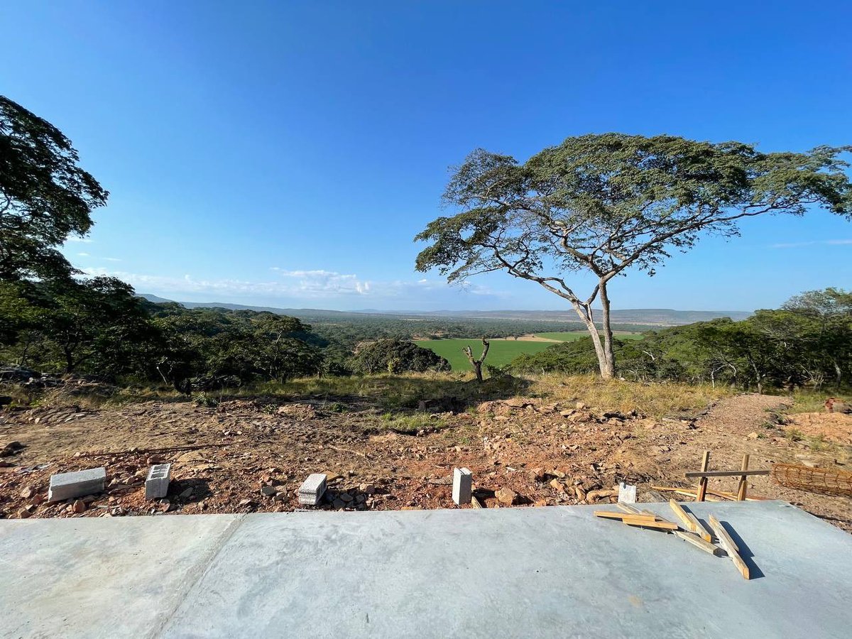 SOILFARM3R's tweet image. The future is filled with promise! #killerview #coffeesippin #zambia