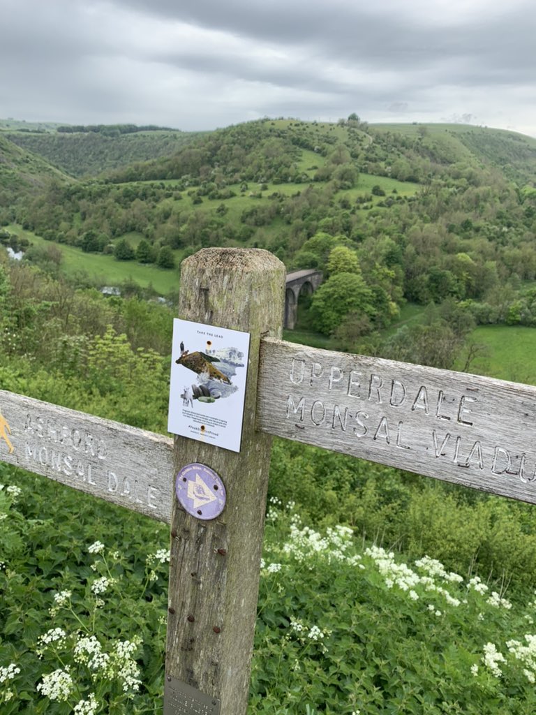 Jessie Leong tweet media