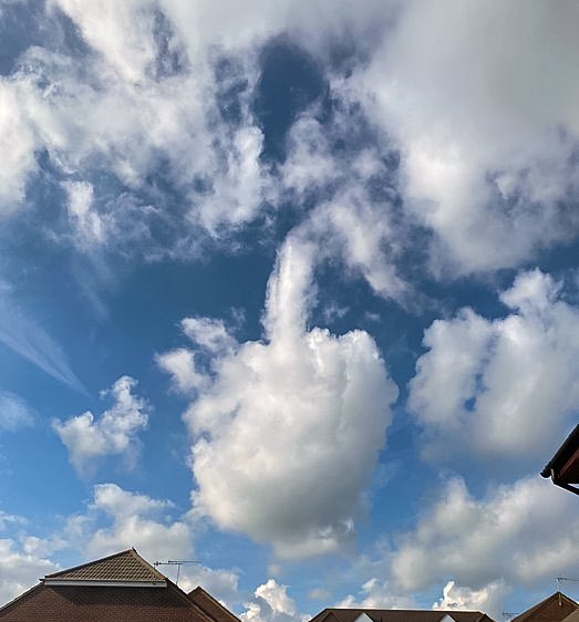 Sanırım dünya bir şey söylemeye çalışıyor.