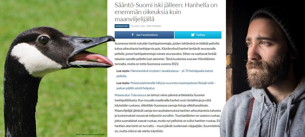 Hanhet 1 - maanviljelijät 0. 
Not good.