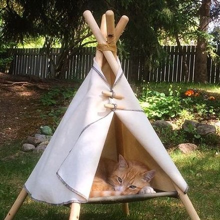 stayc as cats (@catstayc) on Twitter photo 