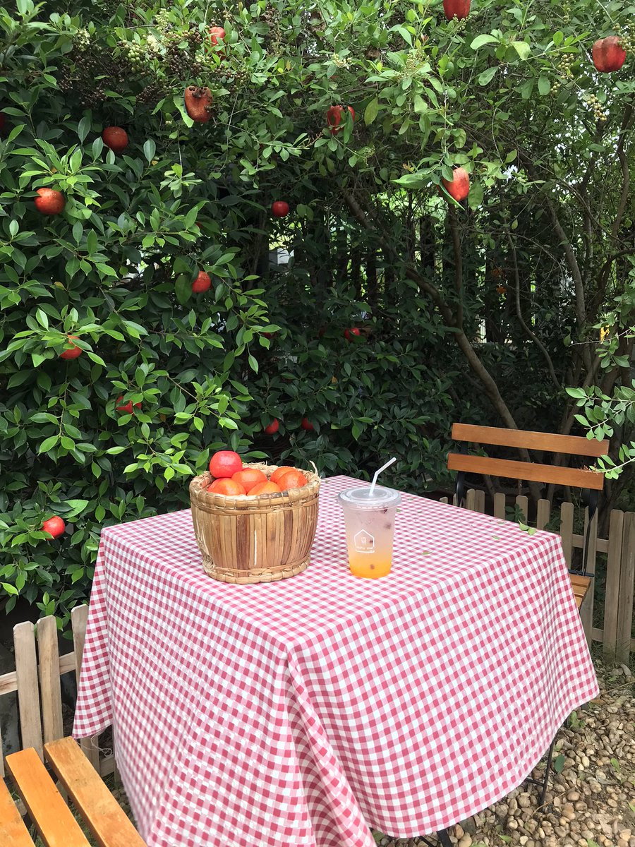 meena_sumonta's tweet photo. Cafe Today 🥤🧃
#cafe #cafeaddict #cafeaholic #garden #freshair https://t.co/fct28LBLYX