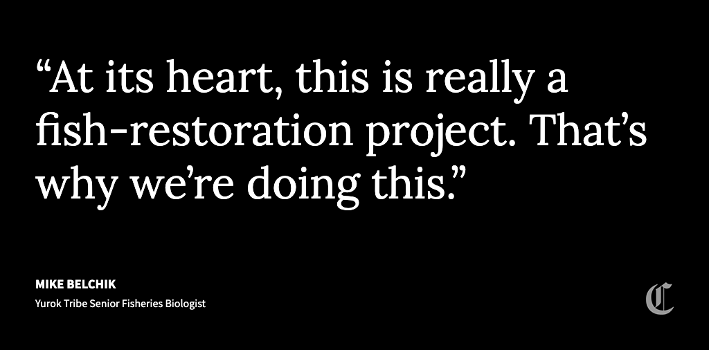 San Francisco Chronicle tweet media