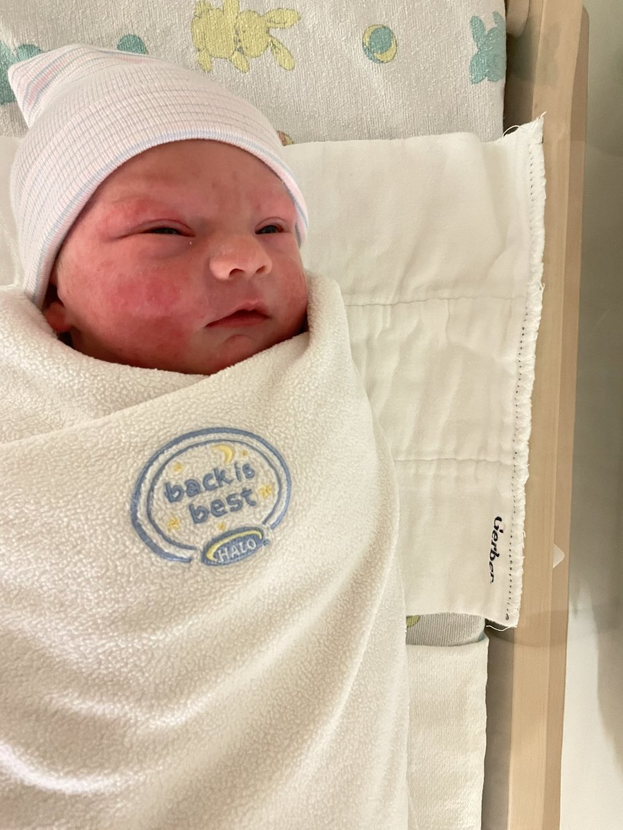 Lucas Donovan tweet media