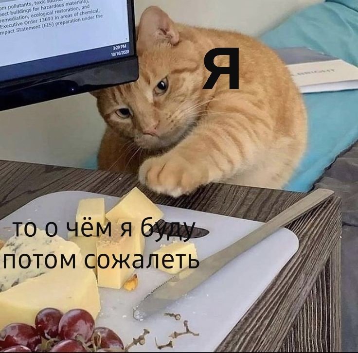 me

something I will regret later