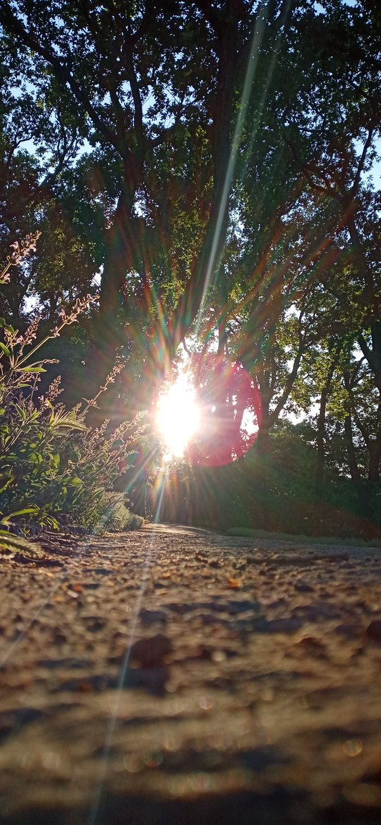 shylince65's tweet photo. #Roava - #Günbatımı -#Sunset
21.05.2022 https://t.co/bR7DkDsdCQ
