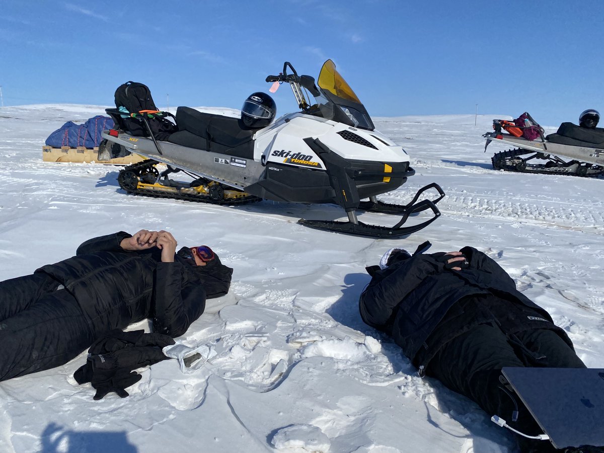 Laura Brown tweet media