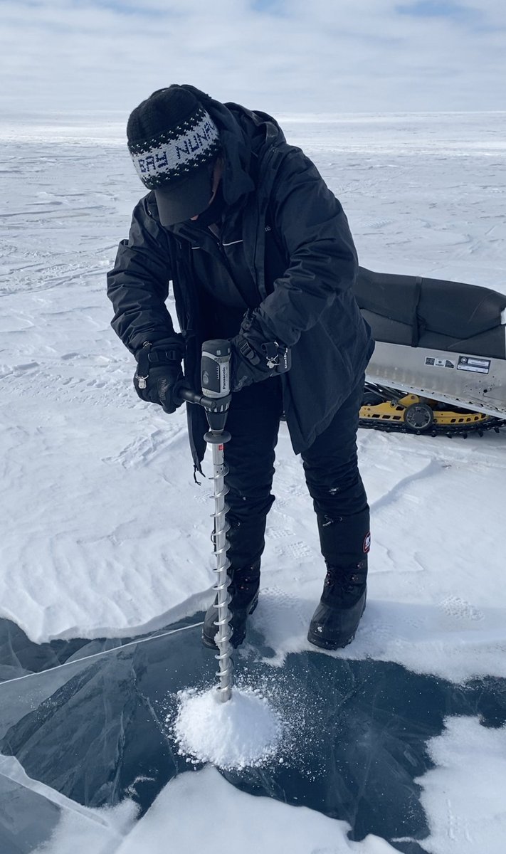 Laura Brown tweet media