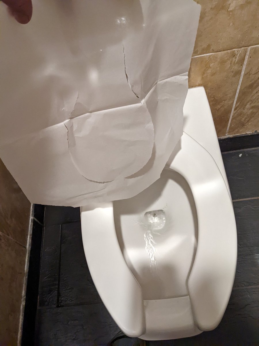 Fellas, how many times do you let the automatic flusher suck the tissue paper seat cover down the drain before you say fuck it and just shit bareback?