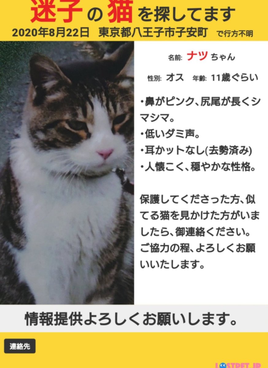 ねこじゃらし 保護猫代理人 Satooyasagasipo Twitter