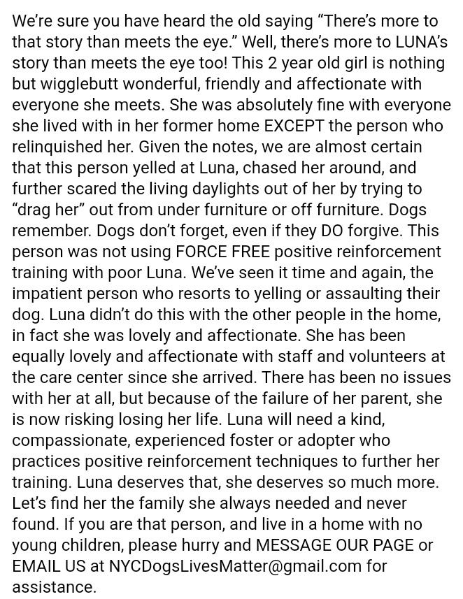 Gina C tweet media