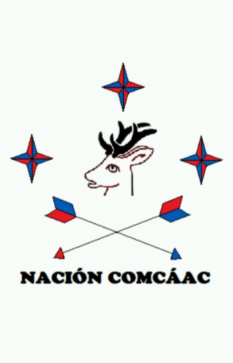 ALBATROS Comcáac tweet media