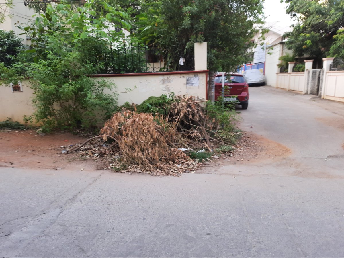 Tejas Tripathi tweet media