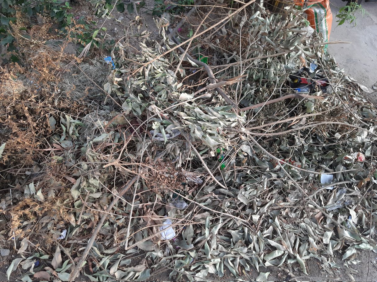 Tejas Tripathi tweet media