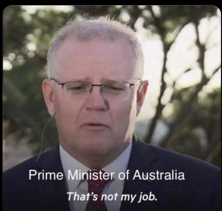 Eva_Lishus's tweet photo. Sweet, sweet May.

😃
#BinNight
#AusVotes22  #auspol https://t.co/9qhB2ENugF