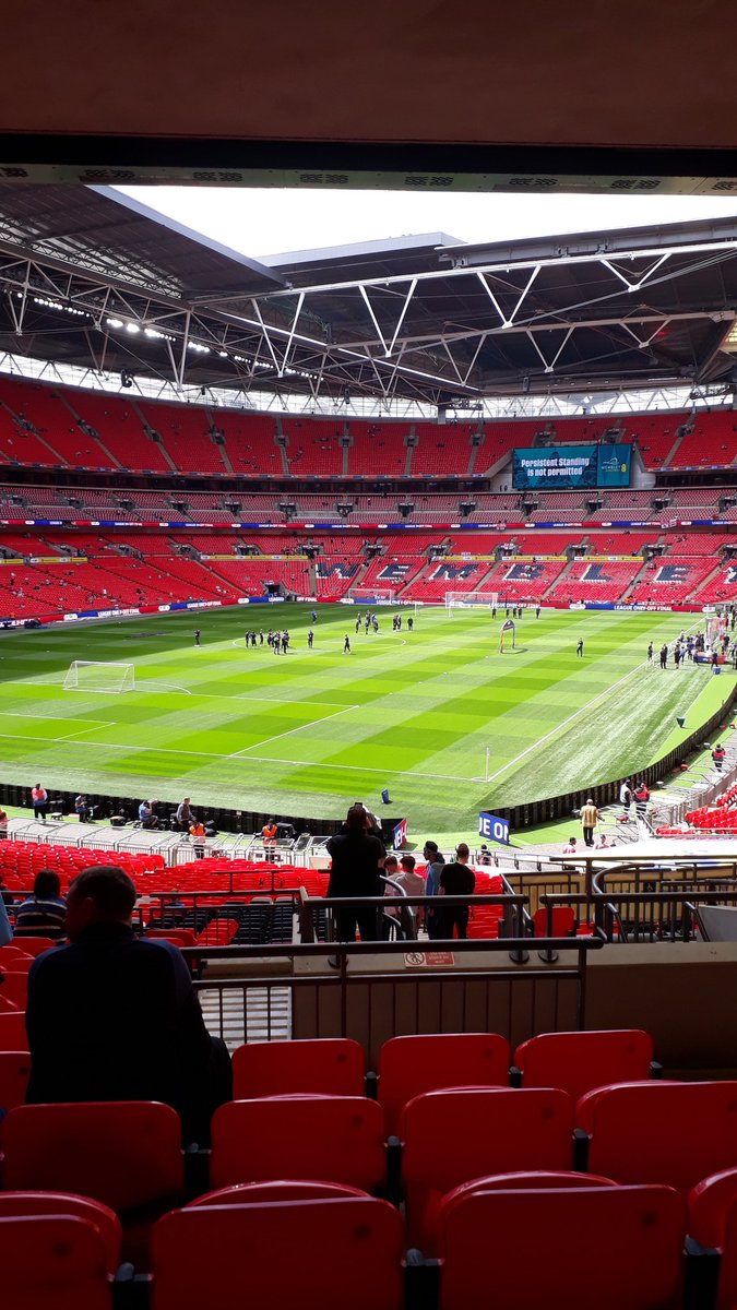 Lemony Bearley tweet media