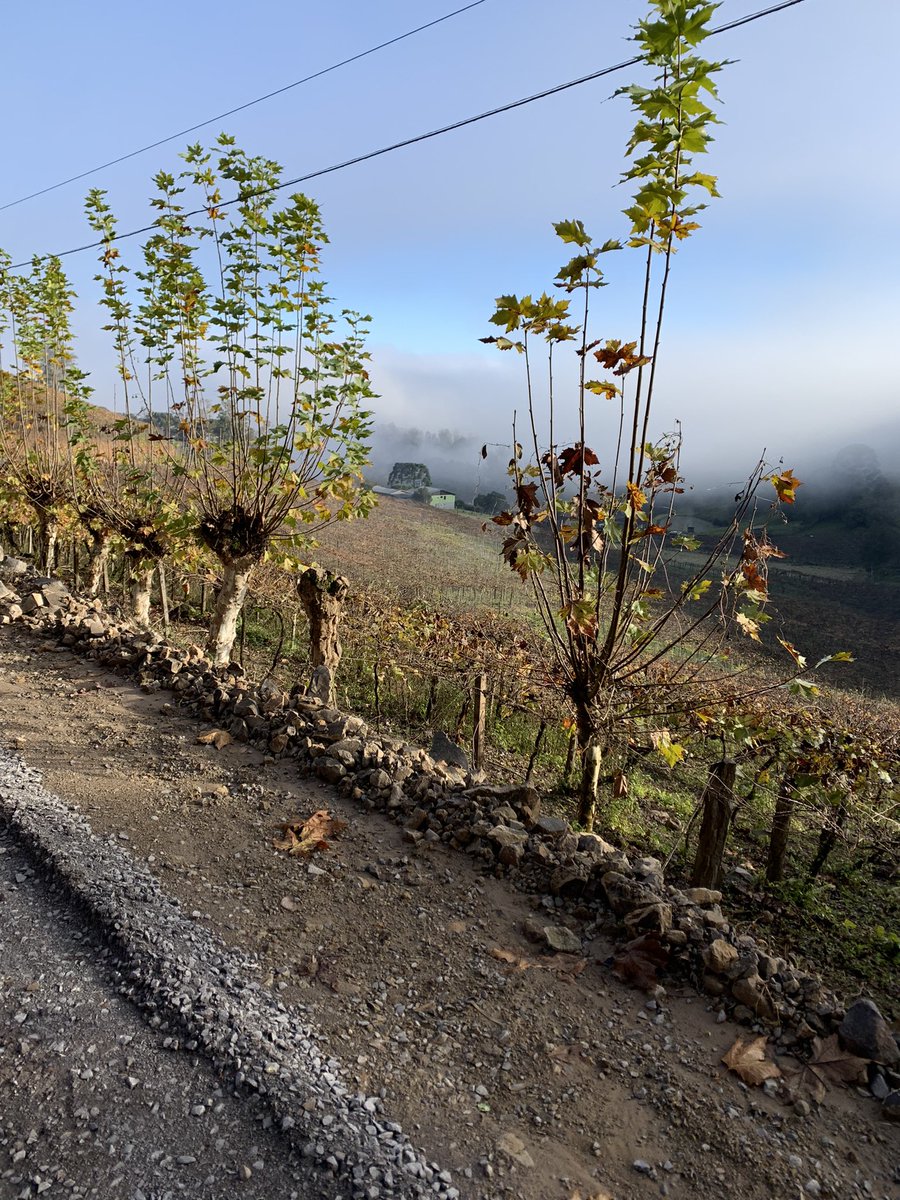 Correr com esta paisagem é da melhor qualidade