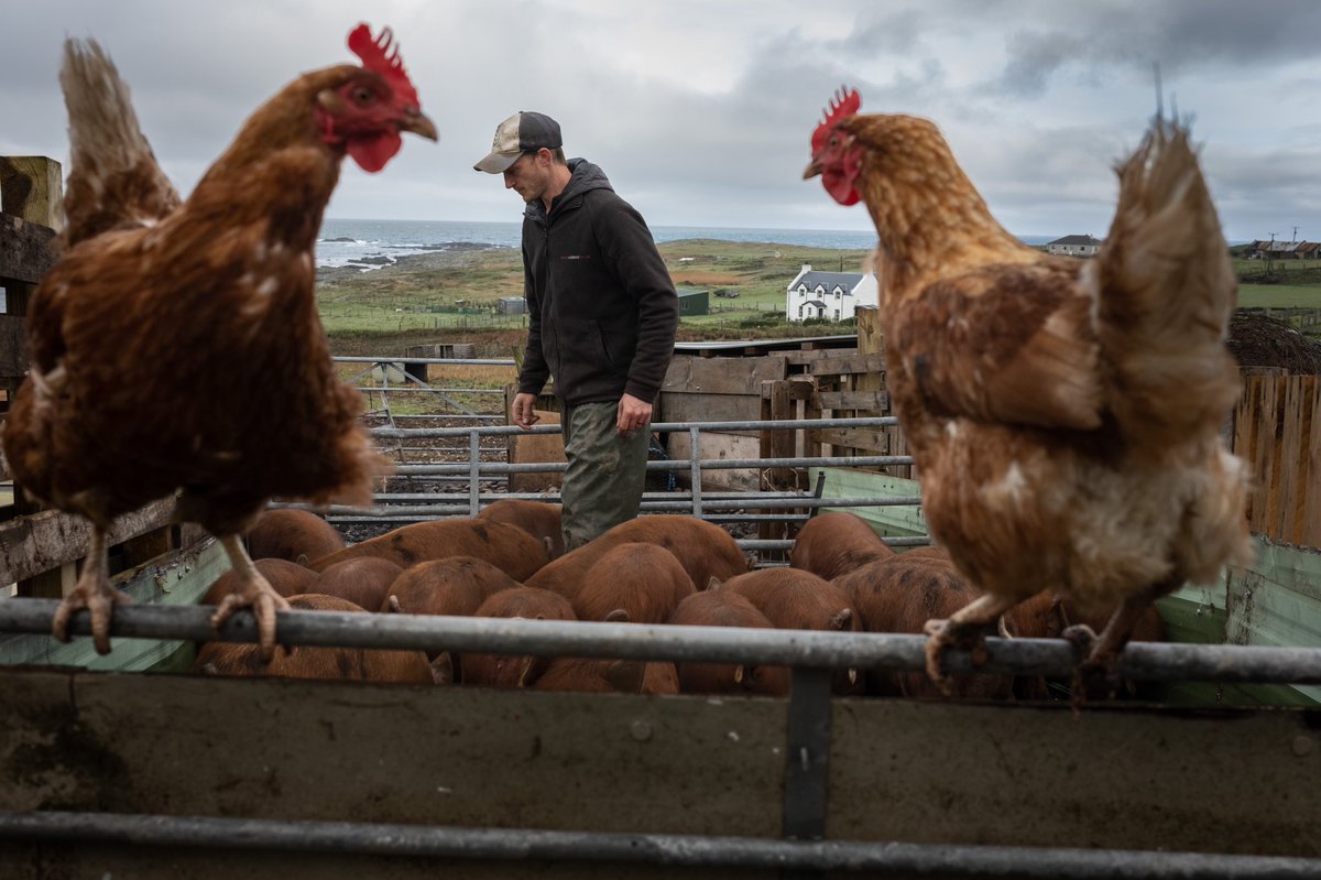 DocuScotland's tweet photo. Today our Document Scotland patrons get a preview of our #ShowUsColonsay event where we recently spent a week working with the community on #photography projects.
Please sign up and support our work https://t.co/ugZorJEyKC
Funded by @CreativeScots & @StreetLevel_ https://t.co/owaxWdz05b