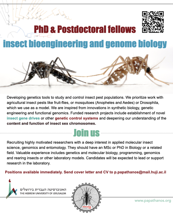 Philippos Papathanos (@phic32) on Twitter photo Come work with us! My lab <a href="/HUJIAgri/">HUJI Agri</a> in ๐ฎ๐ฑ is looking for excellent #PhD and #Postdocs to lead research projects in ๐ฆ &๐ชฐ bioengineering and genomics. <a href="/JobsVector/">Vector Biology Jobs</a> <a href="/GlobalVectorHub/">GlobalVectorHub</a> More information here: shorturl.at/gsGLT
Please RT! ๐ Come work with us! My lab <a href="/HUJIAgri/">HUJI Agri</a> in ๐ฎ๐ฑ is looking for excellent #PhD and #Postdocs to lead research projects in ๐ฆ &๐ชฐ bioengineering and genomics. <a href="/JobsVector/">Vector Biology Jobs</a> <a href="/GlobalVectorHub/">GlobalVectorHub</a> More information here: shorturl.at/gsGLT
Please RT! ๐