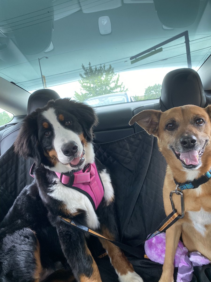 Elizabeth Mulkey tweet media