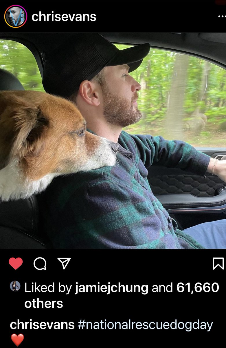 CrestanSMF's tweet photo. How my mind works sometimes: I 💙💙💙 this pic ➡️How adorable➡️Oh look it’s wooded out their window I bet they’re going hiking➡️I pulled 20 ticks off my dogs after our hike yesterday➡️I wonder what preventative Chris uses to protect Dodger #vetech https://t.co/OUqkCHJdKY