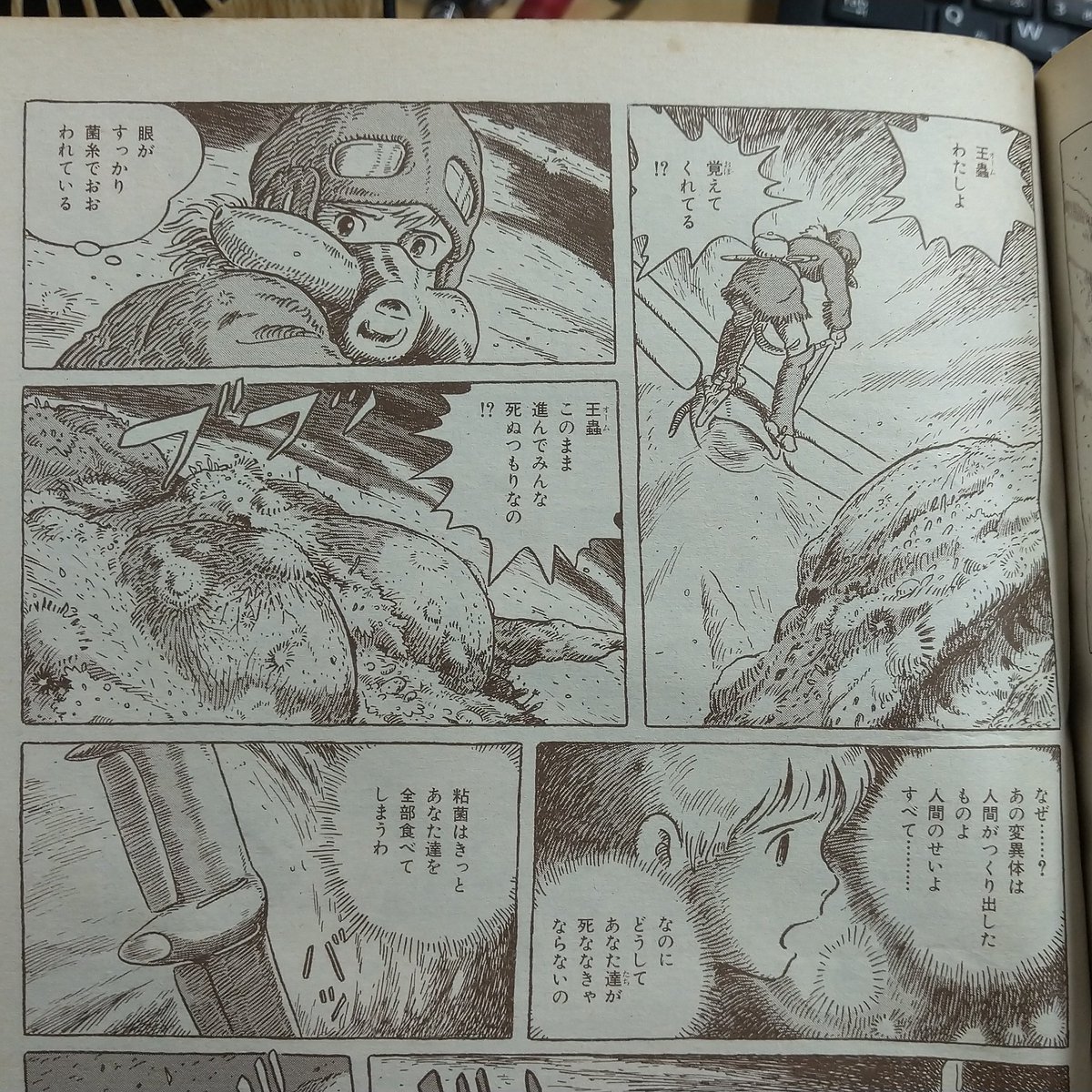実はこの点の前提となる「何故王蟲達は人間の愚行のせいで死ななければ 