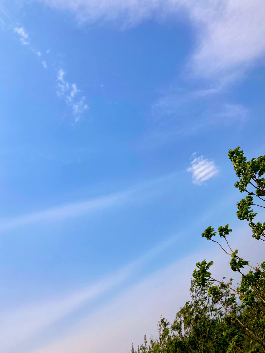 ⭐️ リハビリ帰りの空☁️🌳✨ 明日はセルフリハビリです🍀 今夜は私の母が送ってくれた 手作りグラタンと父が育てた スナップエンドウ使いイカ🦑アヒージョ&🎃ポタージュ調理😋 🌳穏やかな