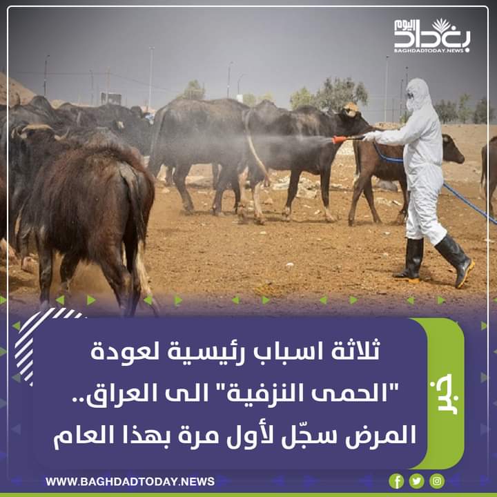Dr_Ahmd_171's tweet photo. ثلاثة اسباب رئيسية لعودة الحمى النزفية الى العراق #التويتر_بيطري
1- النقص في الكوادر البيطرية وخلو دوائر البيطرة من الأطباء البيطريين
2- عدم تطبيق قانون التدرج الطبي البيطري
3- عدم تعين الاطباء البيطريين من قبل وزارة الزراعة ودائرة البيطرة و كلاهما تتحمل المسؤولية في اتنشاره https://t.co/34zkhs5etH