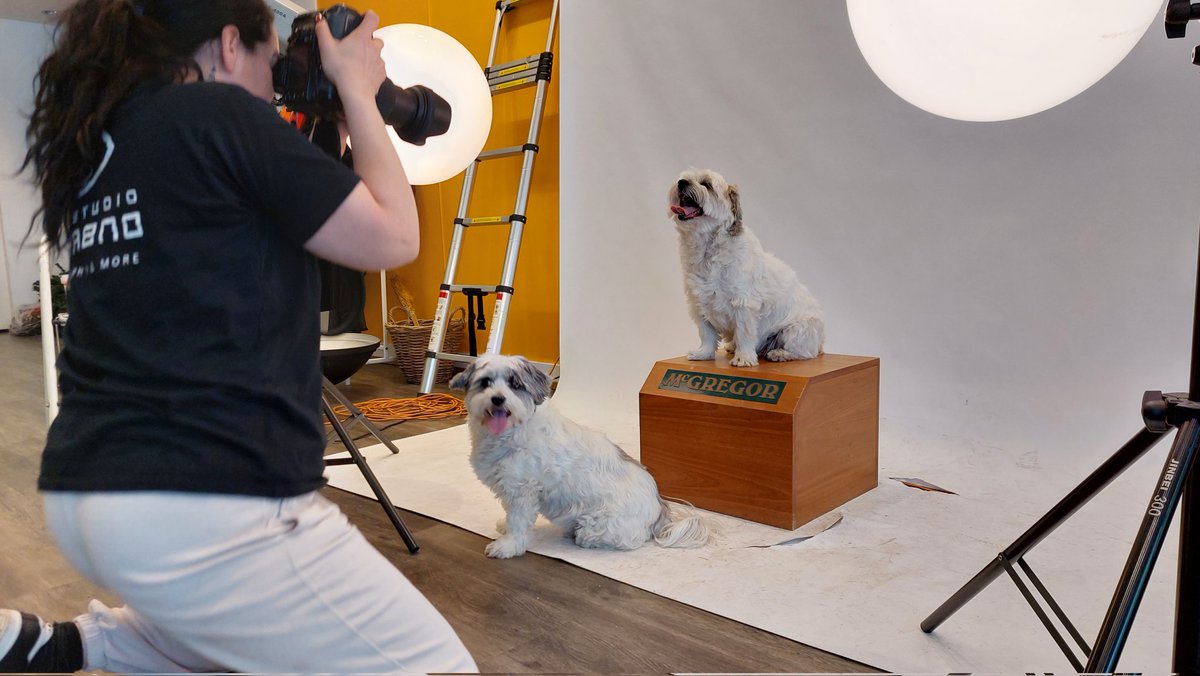 Boef_Bengel's tweet photo. Cool! Fotoshoot voor de Hunj van Remunj. https://t.co/MNjpT70vxs