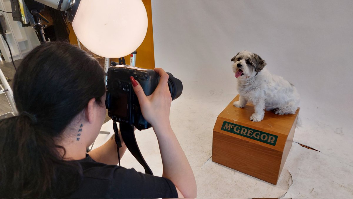 Boef_Bengel's tweet photo. Cool! Fotoshoot voor de Hunj van Remunj. https://t.co/MNjpT70vxs