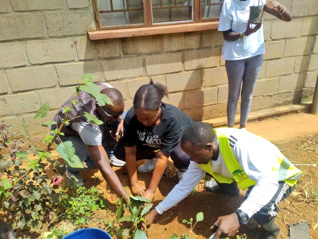 rckigali's tweet photo. "When we plant trees,we plant the seeds of peace and seeds of hope" - Wangari Mathaai.
🌱🌱To celebrate this #YouthServiceMonth, the #InteractClub of École Belge is planting their seeds of hope in @BugeseraDistr today.
#PlantWithRotary, #ServetoChangeLives https://t.co/Stj6Qmzlld