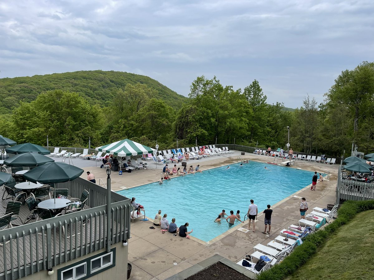 Allison B tweet media