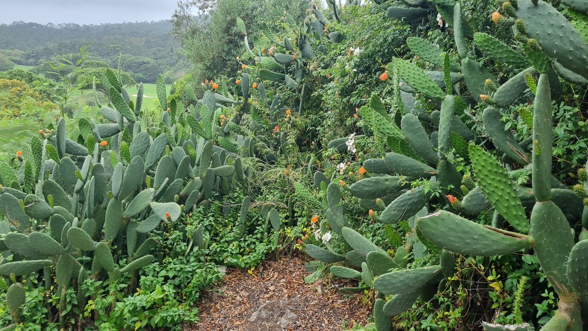 richtaylor1608's tweet photo. Last day in this magnificent resort. The staff have been amazing & the food/drinks have all been great, it's like a little bit of paradise
#Sintra #penhalonga #Portugal #Portugueseholiday #paradise #LivingTheDream #holiday https://t.co/Y5hf542Rqp