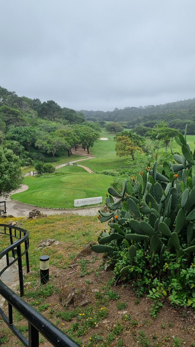 richtaylor1608's tweet photo. Last day in this magnificent resort. The staff have been amazing & the food/drinks have all been great, it's like a little bit of paradise
#Sintra #penhalonga #Portugal #Portugueseholiday #paradise #LivingTheDream #holiday https://t.co/Y5hf542Rqp