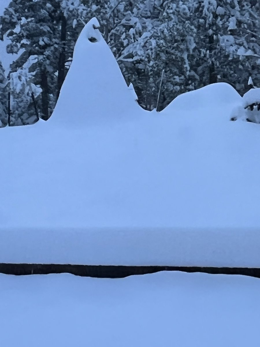 authorterryo's tweet photo. view from the front porch. #springincolorado https://t.co/Fzu0y0DXKU