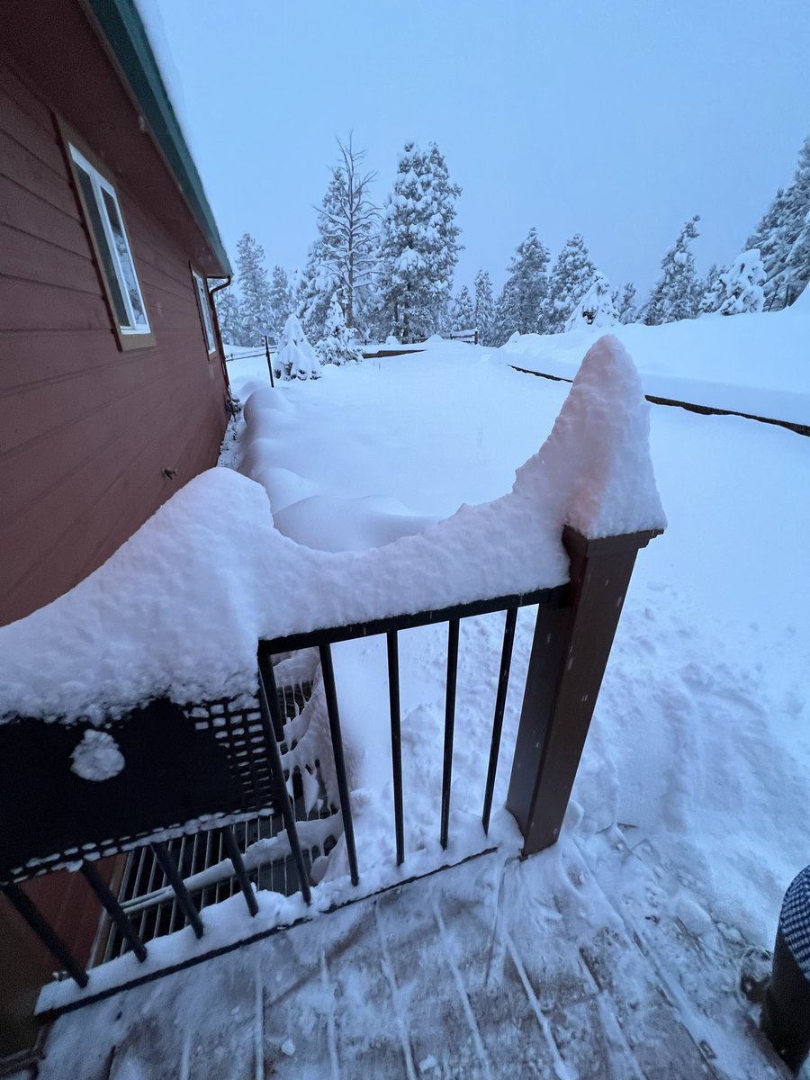 authorterryo's tweet photo. view from the front porch. #springincolorado https://t.co/Fzu0y0DXKU