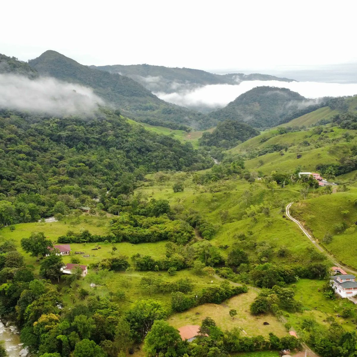 DuplatRocks's tweet photo. #turimomonster #Antioquia @ComedyMonstersC https://t.co/bN9f7YCe9B