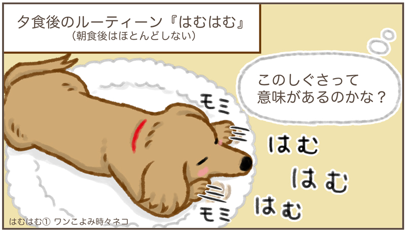 ワンこよみ時々ネコ なんでもない日 その50 モデルの愛犬の思い出です はむはむ 色々な理由があるみたいです アオさんの場合 はむはむ 中にかまうと 迷惑だって顔されたので見守ってました はむはむ 漫画 イラスト 愛犬 可愛い