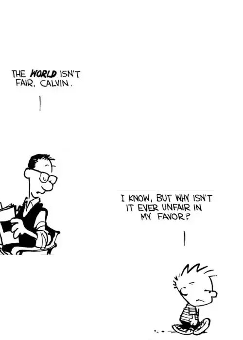 Calvinn_Hobbes's tweet photo. 😒 #CalvinandHobbes https://t.co/GKQDGf3k80