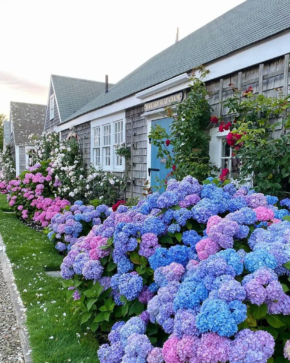 AllRoundFun's tweet image. Wow! 🌸🌳🌼 What flowers do you have in your garden? 
@anantucketsummer
buff.ly/3cHw0pq
