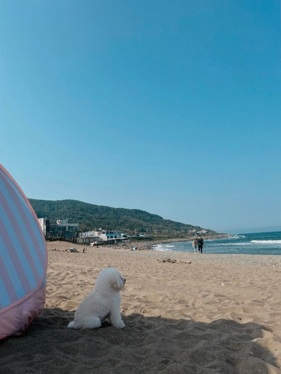 I love the beach and I enjoy the golden sun on my skin, but I need a guy who can protect me.