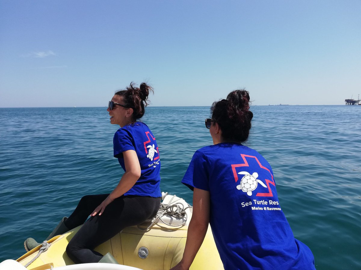 EurOceanCentre's tweet photo. Every action brings change to #ourocean 💧
Today Pongo & #LadyGaga, two of the sea turtles hosted at the rehabilitation centre of #cestha, were released back home 🌊
Follow the amazing work of Cestha Research center! https://t.co/OaDoXMBiKE
#MakeEUBlue #EU4Ocean https://t.co/pnEMiKGL1P