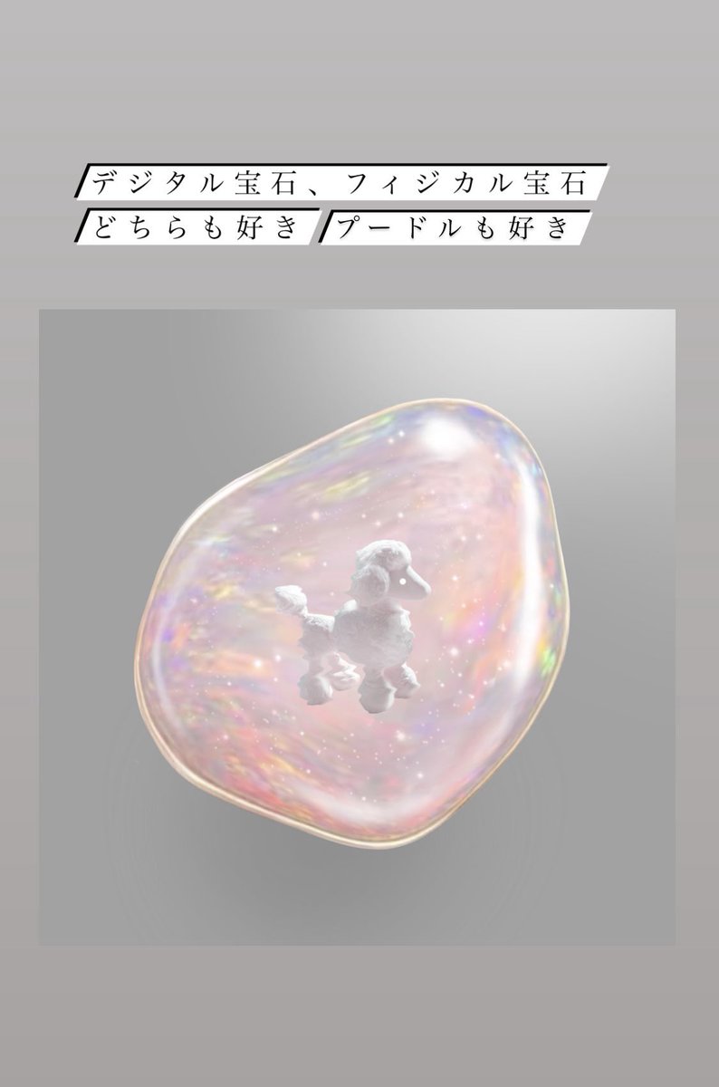 Lanapical's tweet photo. キラキラした物への探究心と、プードル愛 https://t.co/WpvUeaD3zJ