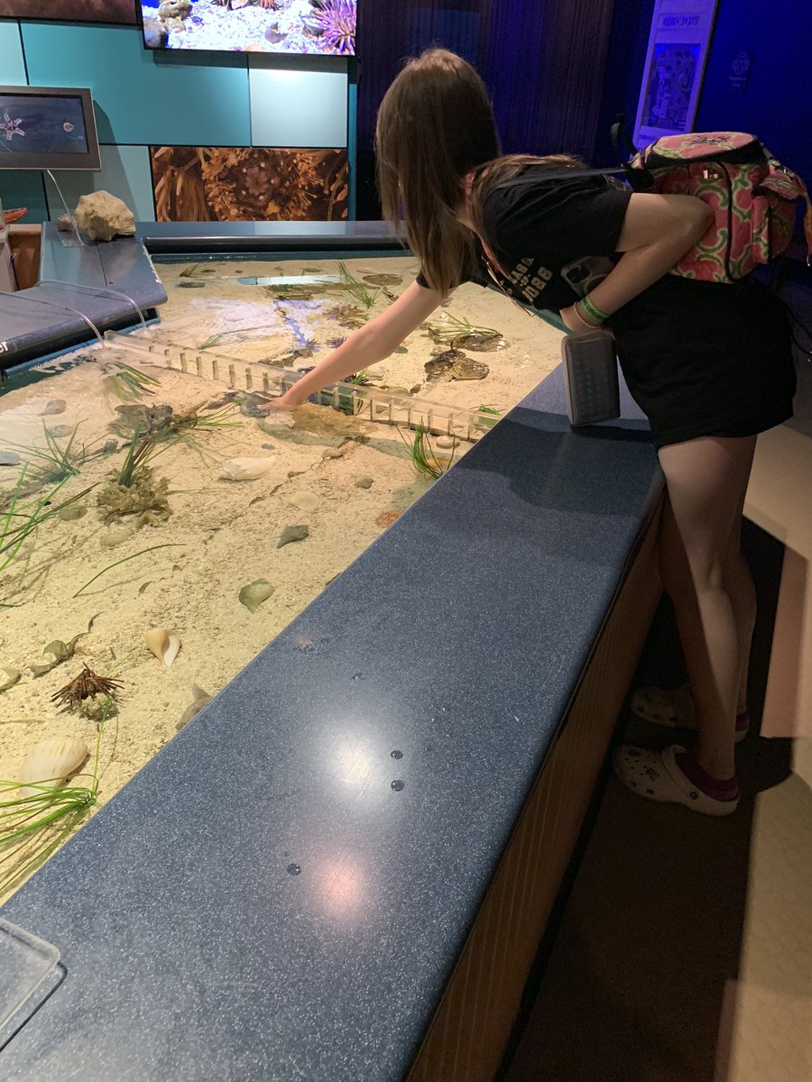 Ms. Thomas 🌞🌈🎨 tweet media