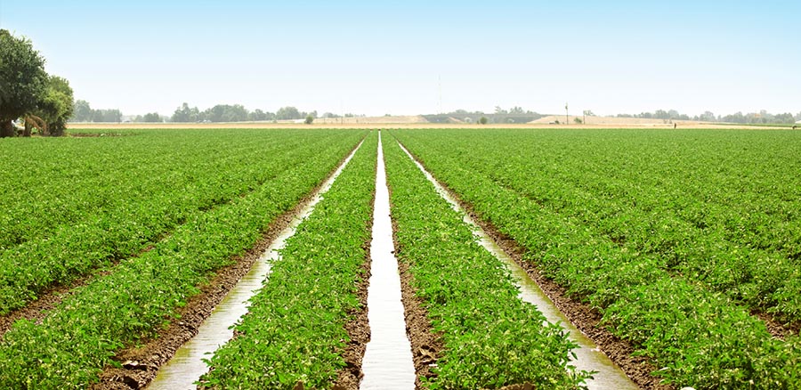 Ndayisabye Rukundo Christian tweet media